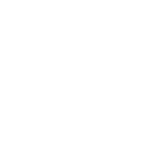 Blind Travel Foundation