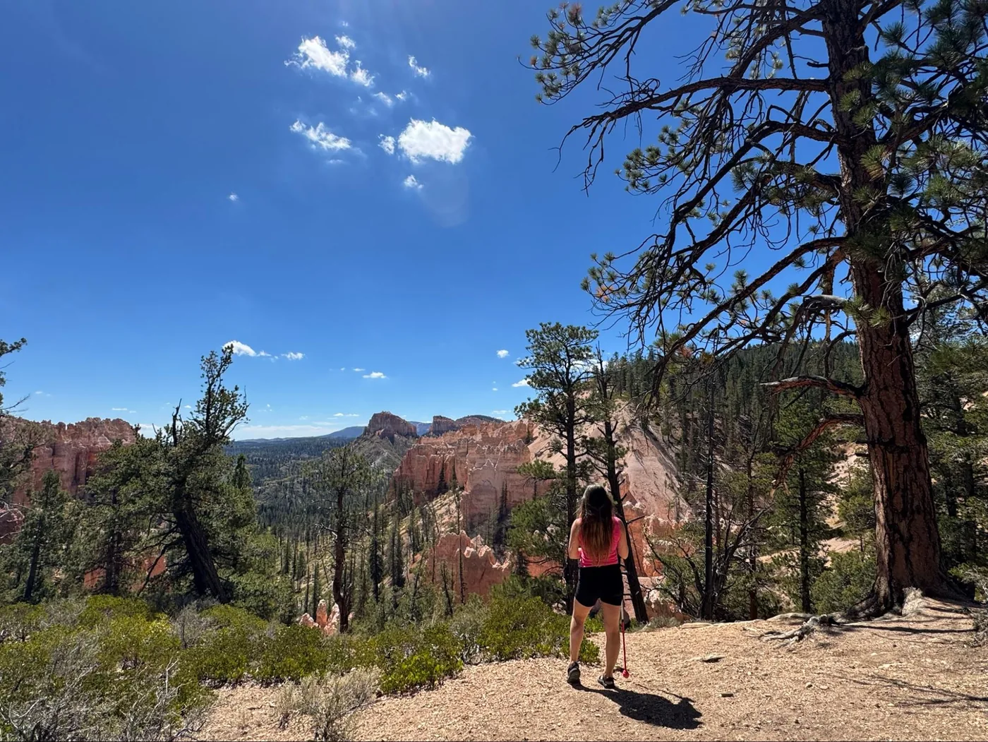 A photo of Monica facing away from the camera, looking out at the hoodoo rocks in the distance. The view is obscured by pine trees.