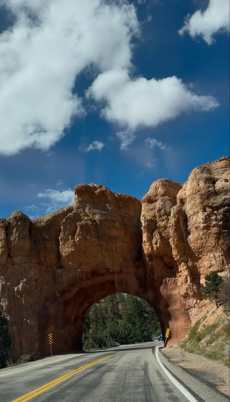 A photo of the red rock tunnel arching over the road.