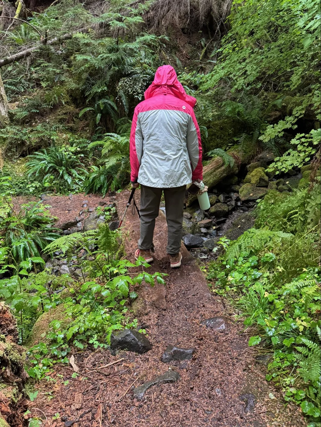 A photo of Monica navigating while walking over a small bridge in a wooded area with her all-terrain white cane. She's wearing a pink raincoat, green slacks, hiking boots, and carrying a water bottle.