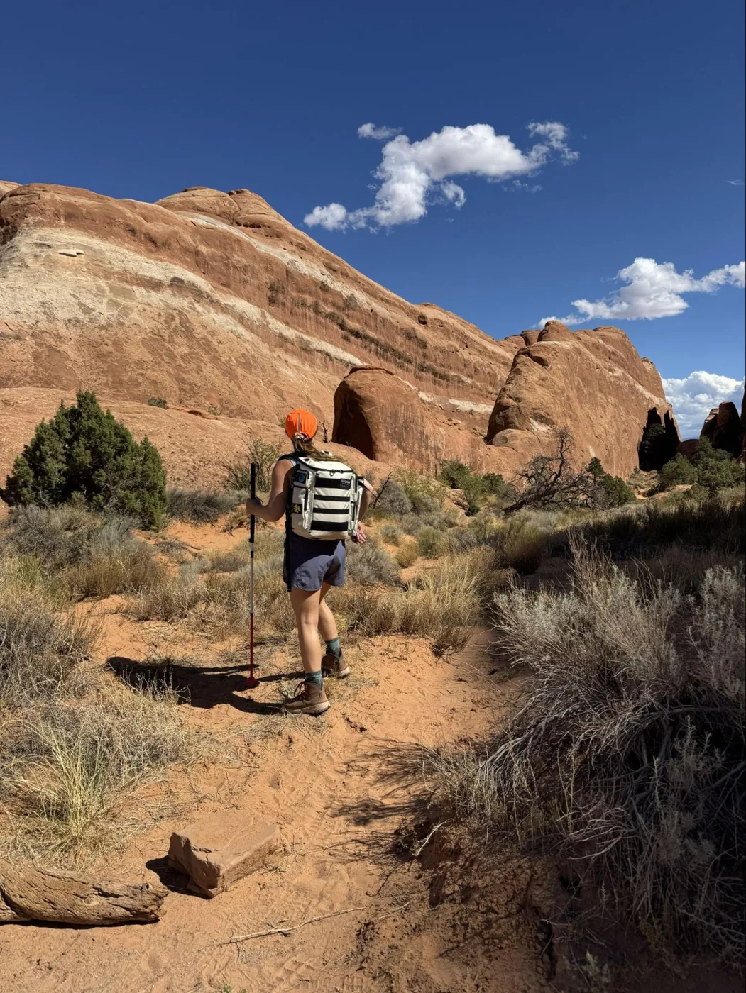 A photo of Monica with her back to the camera, standing, admiring some cream colored striations on brown rocks. She's using her all-terrain white cane and wearing her FEELDOM backpack.
