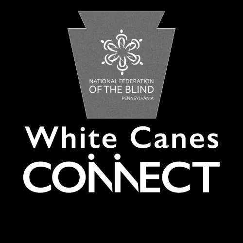 White Canes Connect cover art. A gray keystone with the National Federation of the Blind of PA logo in white on it. Below that is the White Canes Connect logo in white. The &lsquo;n&rsquo;s in connect are made to look like 2 people with white canes. The entire image background is black.