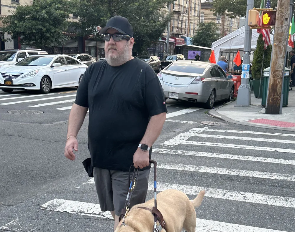 A guide-dog team crossing a New York street on a marked crosswalk.